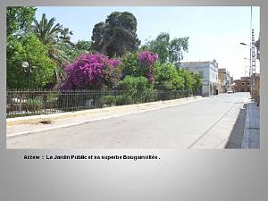 2eme Partie Oranie  Arzew-Fontaine des Gazelles (24)
